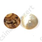 Korong alakú gyöngyházas kagyló gyöngy 1